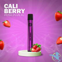 1500+ Puff Posh XL Cali Berry 6.5ml 