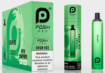Posh Pro 5500 Puff Lush Ice 14.5ml 