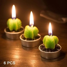 Zupas Cactus Candles 
